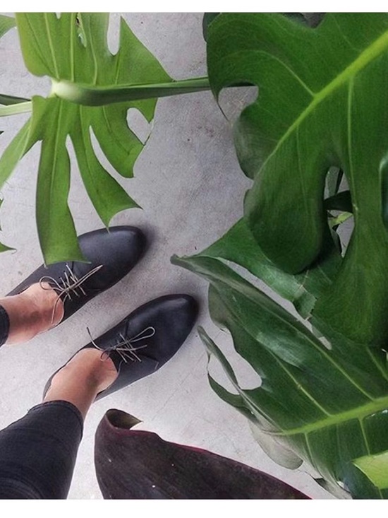 Nisolo Shoes - Nislo Oliver Oxford